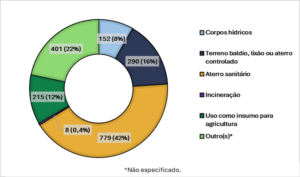 Imagem3